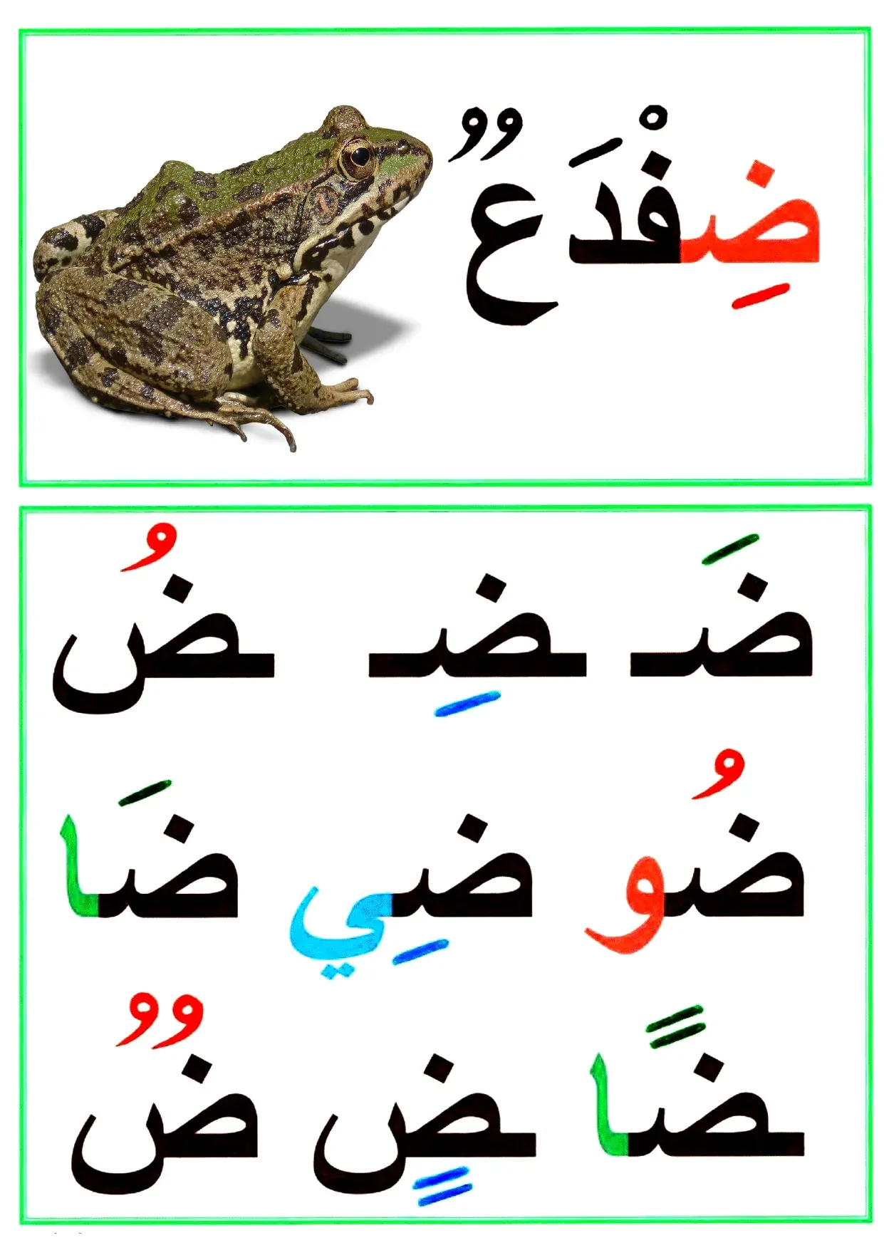 28 affiches de l'alphabet arabe