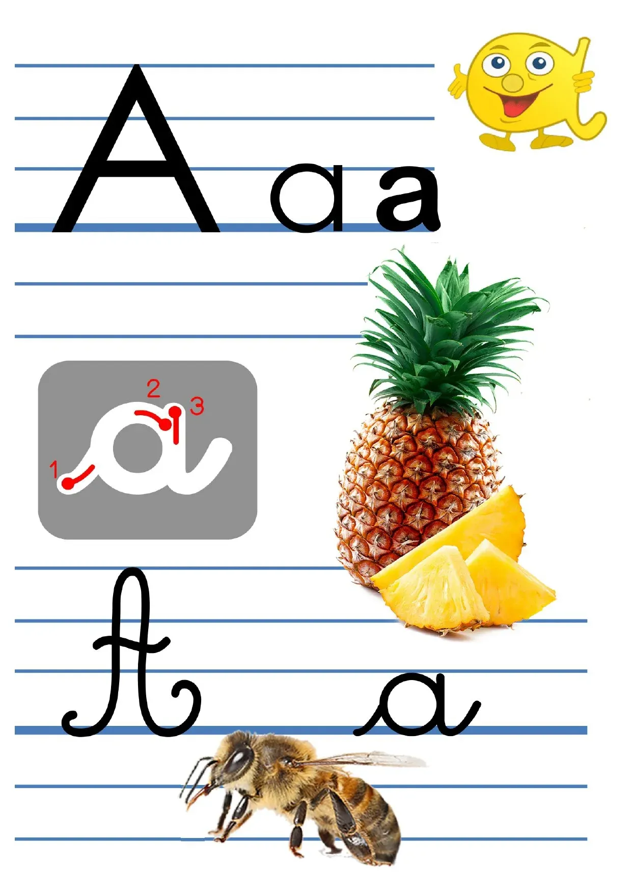 26 affiches de l'alphabet avec les 4 écritures - format A4